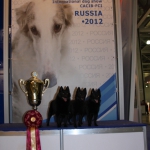 Калиф, Кафи и Таф на России 2012 (Кафи 2 года 10 месяцев)