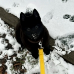 14a073ba-4c97-4cb9-8e63-48b5e1f86330