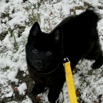 234aece5-ce2c-4624-8299-53aa76758dc3