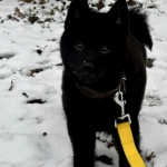 55d62df5-1150-451b-ac00-f28b3bd75791