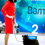 IMG_20260331_Favorit_6m_Novosib