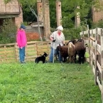 33aca427-76f1-4e4f-9f4b-0b7b92d371e4