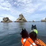 8a9697b1-b5b3-4f33-ae4d-1cae76784986