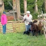 a6a3809e-516e-4335-9a53-7c131c52c72d