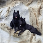 d90fd0c6-09c3-4009-9360-40981c52352c