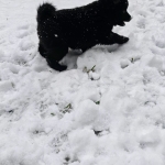 00cc08f5-b566-405e-b3ca-036550fbeae6