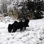 094105bf-1054-4296-ab59-46c1727596b2