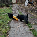 25093198-2119-4c28-8471-cf0a97d70cb8