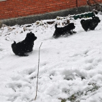 2689c725-aa3c-4ab8-94fe-cebba12b2c42