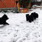 2dd84e62-d24b-475e-a061-d4254514b0f1