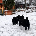 2ef57629-719a-4d77-91c9-96e5b204adb9