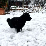 31b998e4-c01e-4162-b8c9-7aab66d93248