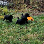 332a11aa-0235-4186-b422-2089de095e57