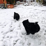 3c59c705-aec9-41ec-b5ea-d0c89ffc80a9