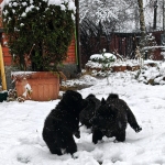 418e9458-cbbf-4063-aabf-ae4bb45dcbe8