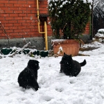 43702e7f-4458-4856-b8d9-5ca60e557c94