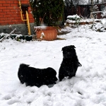 43c20197-41d0-4517-9095-5fe768ca02a3