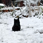 484fac8c-0d35-4c3a-a9a4-2ae7b76ebfc4