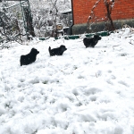 5f04746b-87f3-4bd2-8418-a71bf4805042