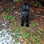 6a01b0c7-a330-4d88-b51b-1ce9572c2c21