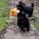 6f328496-b454-4a8d-a440-11076e77bc0b