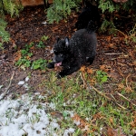 7014b96a-3c29-4376-addd-10f176e50769