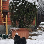 72df1d4b-ec60-489c-9c6f-f4ecf0ccfe19