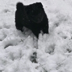 7c923393-2850-4151-a11a-fe4830bba158