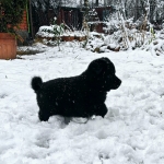 80ae724b-18ed-4020-b188-89a38b92caac