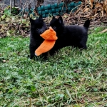 82fcbe4b-f540-4d27-8332-8e92e32d7a35