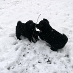 8a8e1778-3bec-4706-b97d-6686c2aa5c2a