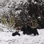 91ffd7f0-134a-45a3-887a-f1e5ea4f67cc