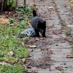 97901f75-e2f0-473d-b744-d40a1c0e8433