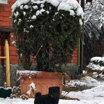 a134c5bd-cc86-4a6a-8bf8-7eebf8d81eb0