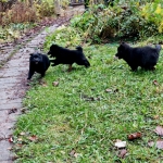 abeaac7f-e8d7-4063-86df-212a98b0b012