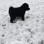 b260c2e5-08ad-4261-85bb-25f960a7e394