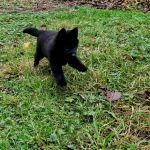 b47d023b-58de-46dd-a6d4-ec56f615394c