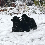 b9305f3d-1a4b-42fe-9bac-3c5c3cba7711