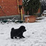 bcdd44cc-f31e-4455-83b8-d72ce6e3755b