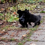 be324338-2674-432a-90bc-43d47c08d55f