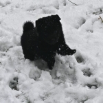 bead825c-91d2-450d-92db-7df2ad49f3f8