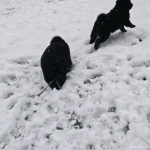 c3a18f1d-5107-41c3-845b-fb6d1ba5943f