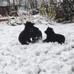 c86a55f5-77c1-4f92-ac29-96a13c184bd7