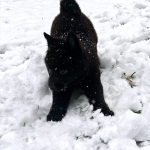 cff94fe5-8fd4-42a0-8359-a59697138641