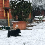 d181c4ef-e1a1-4fa8-a6e1-e2ba3ffb40dc