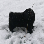 d2d08877-8e73-44f8-9f4b-059b0bdc2c9a