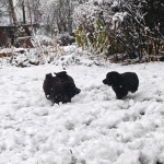 d4f519f3-38af-42a3-84a5-88799a9705a5