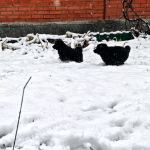 de14f93e-40fe-42cc-90e8-2101d35489d7