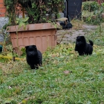 f38a4409-9015-4d3e-8518-574bd47d918a