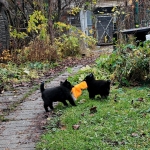 f5a19939-a4a4-4103-b5cb-812dd4e57374